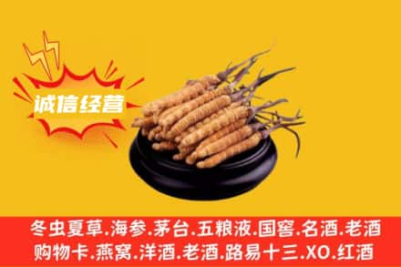 毕节回收冬虫夏草